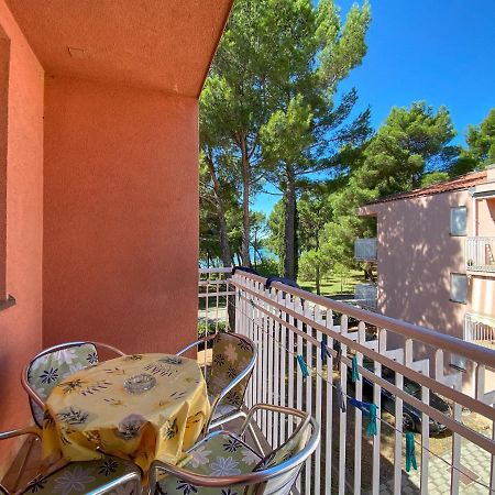 Vesna S Apartment Novigrad Istria المظهر الخارجي الصورة