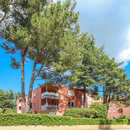 Vesna S Apartment Novigrad Istria المظهر الخارجي الصورة
