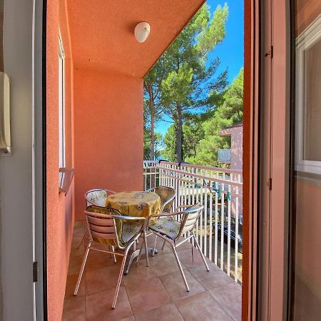 Vesna S Apartment Novigrad Istria المظهر الخارجي الصورة