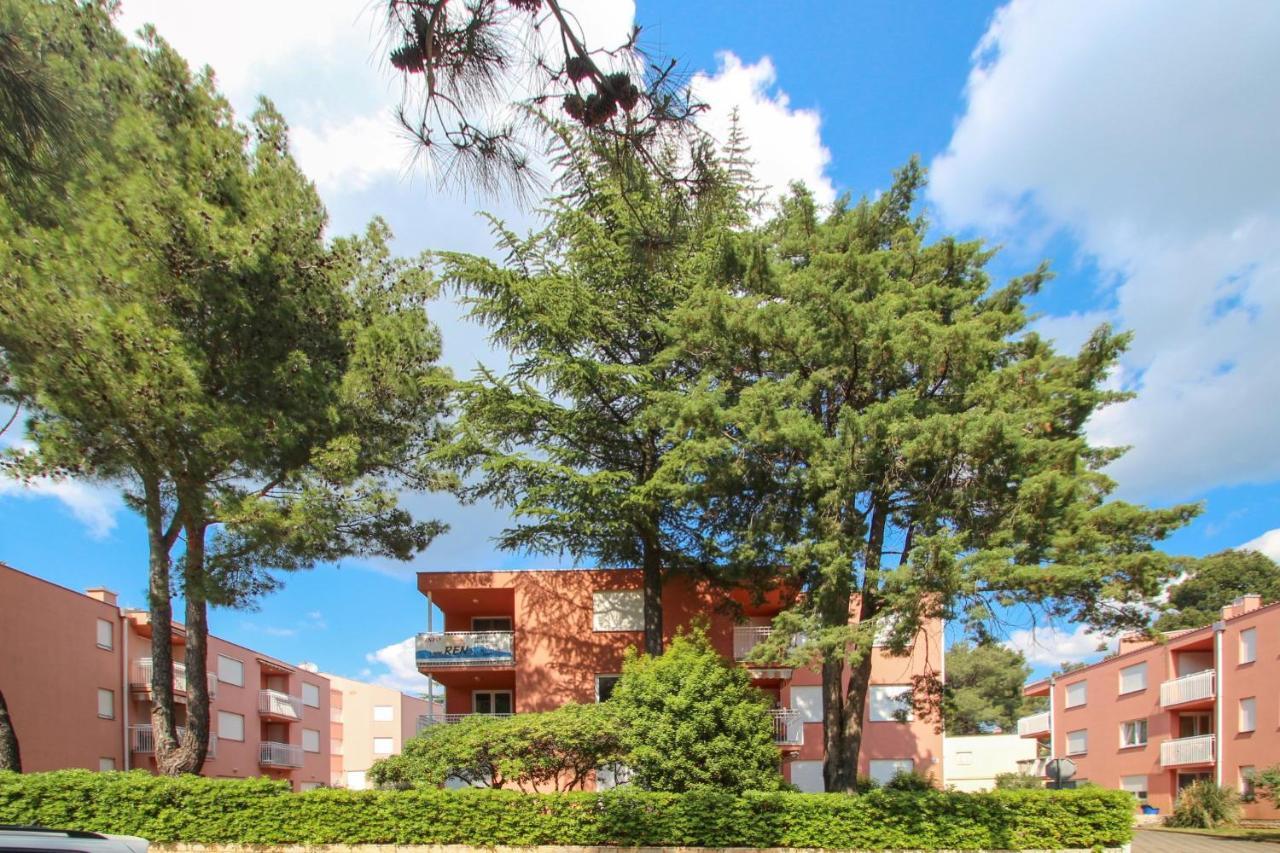 Vesna S Apartment Novigrad Istria المظهر الخارجي الصورة