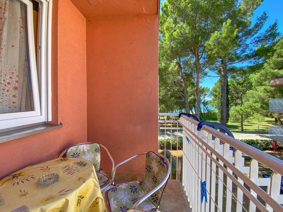 Vesna S Apartment Novigrad Istria المظهر الخارجي الصورة