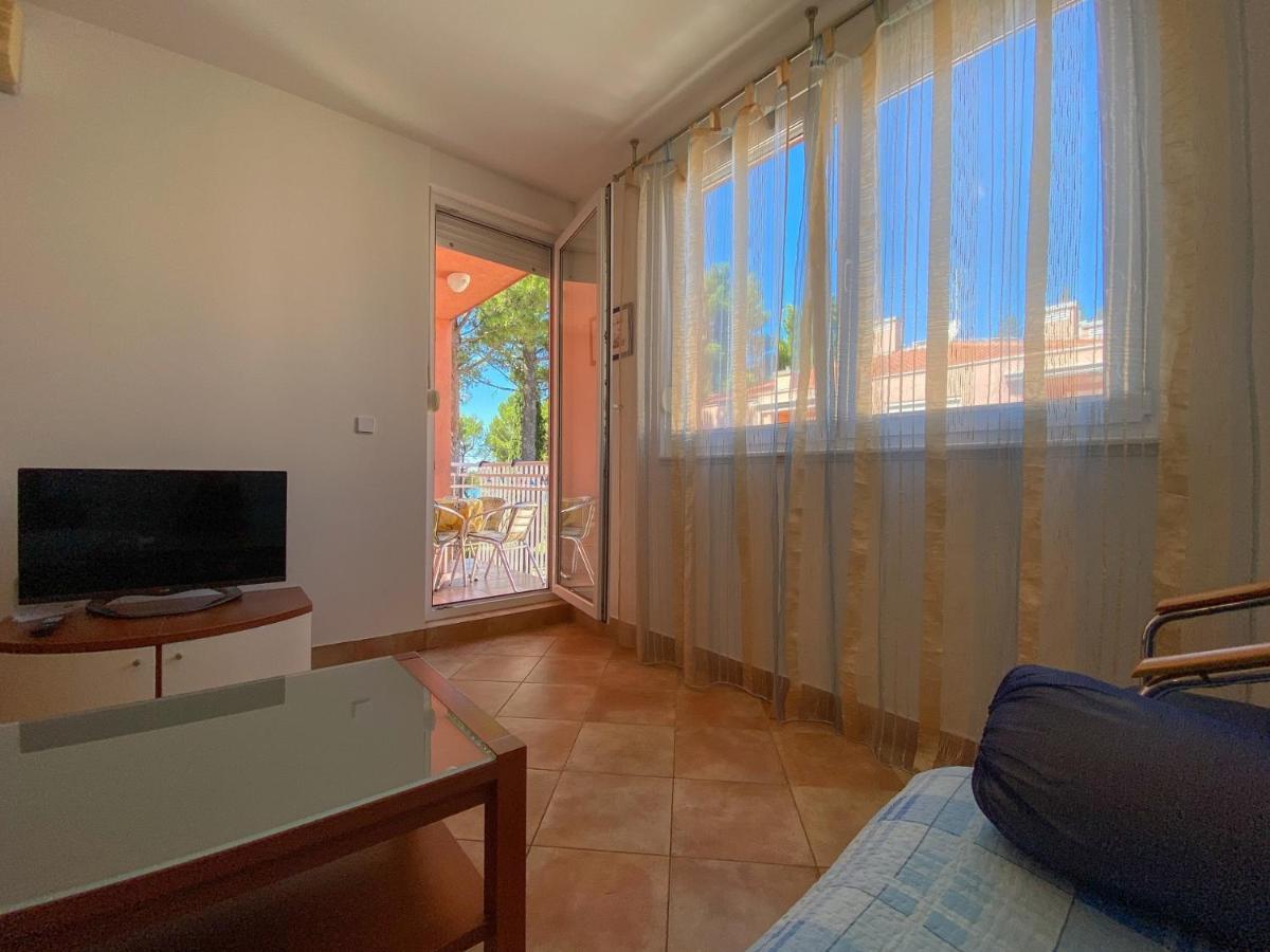 Vesna S Apartment Novigrad Istria المظهر الخارجي الصورة